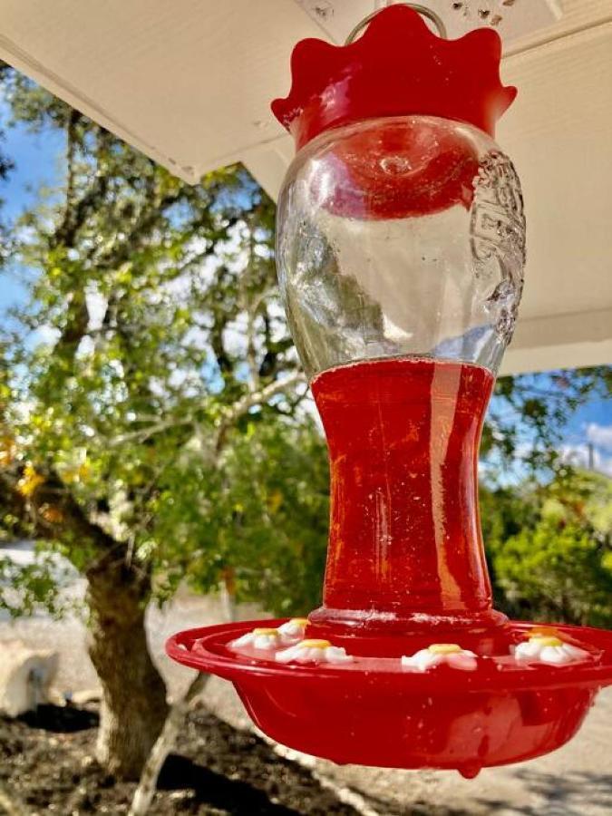 Hummingbird Haus - Hill Country Views On 20 Acres With Firepit Vila Spring Branch Exterior foto